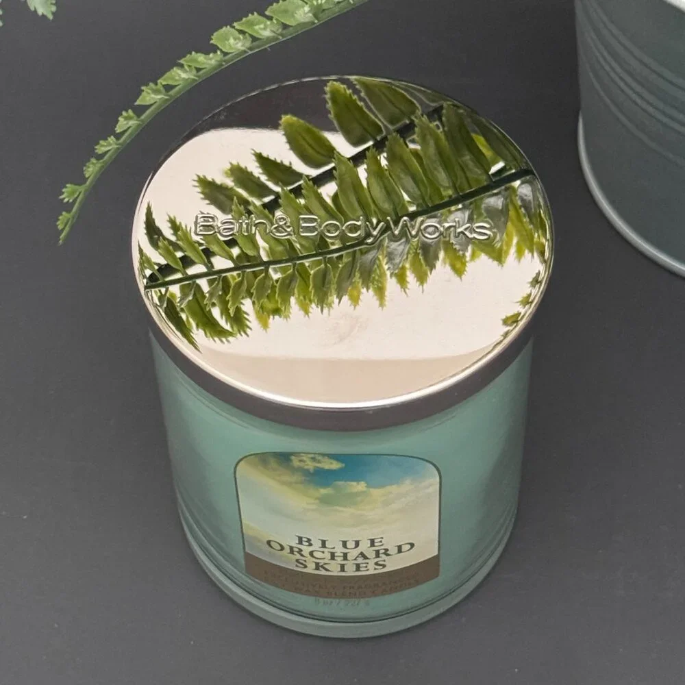 BBW Blue Orchard Skies Bath & Body Works Single Wick Candle